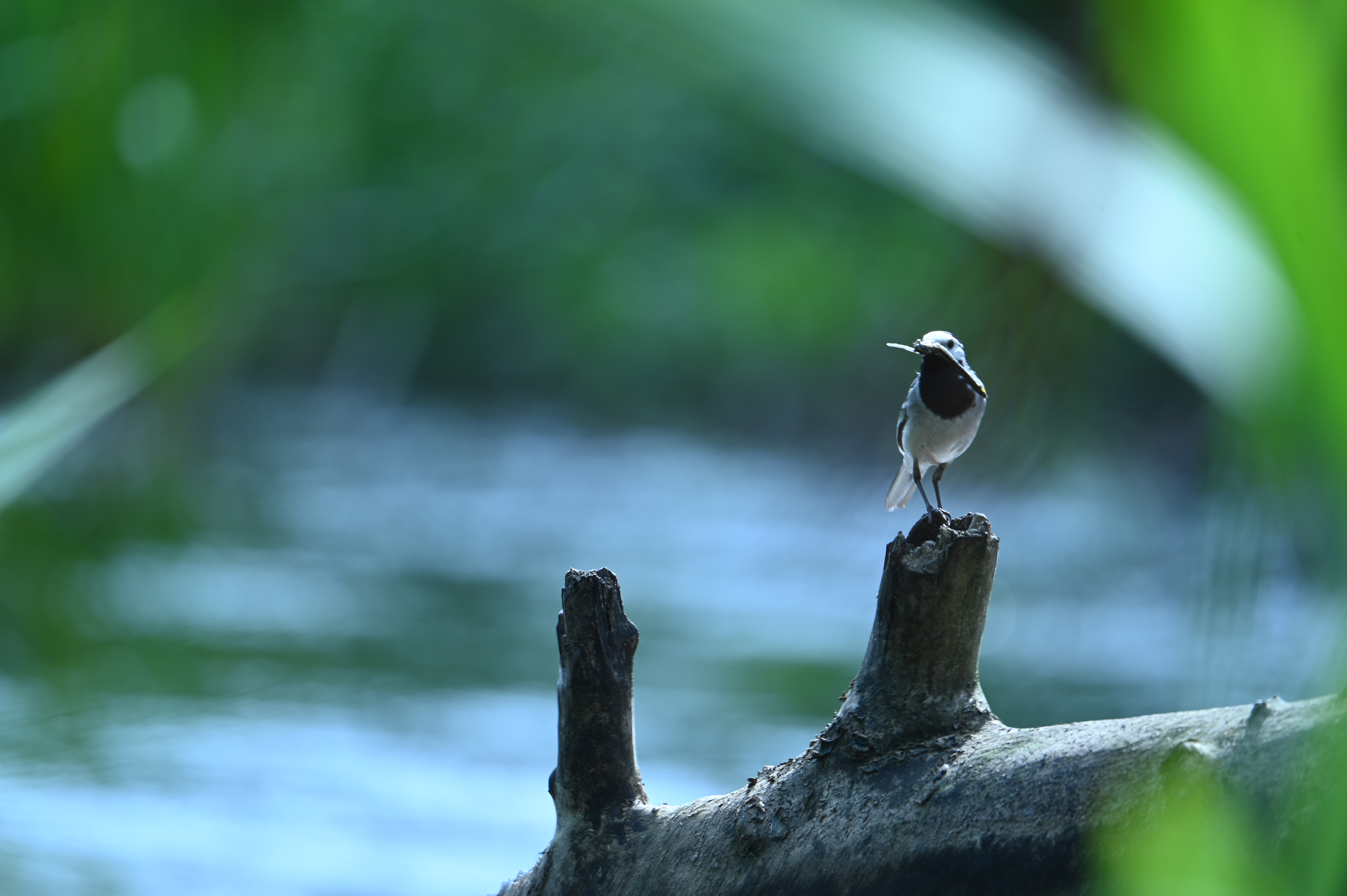 2025/07/09-14 - trip/DSC_0470.JPG